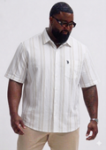 (3XL–6XL) Half Sleeve Striped Shirt